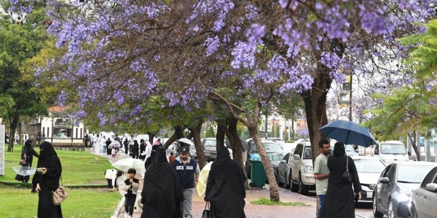 الأرصاد لـ "اليوم": تحسن تدريجي لطقس المملكة.. والربيع يتزامن مع رمضان - عرب فايف