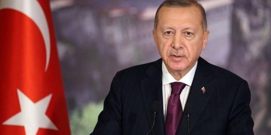 «أردوغان»: لا يمكن لأحد دفع الشعب الفلسطيني باتجاه نكبة تهجير جديدة - عرب فايف