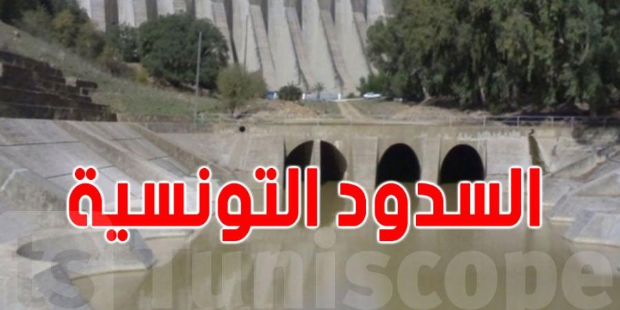 تونس: ارتفاع نسبة امتلاء السدود - عرب فايف