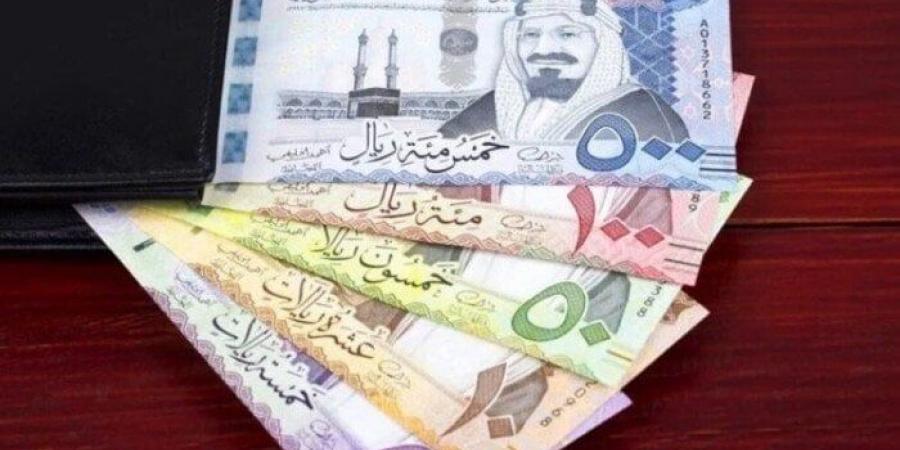 سعر الريال السعودى في مصر اليوم.. الأربعاء 12-2-2025 - عرب فايف