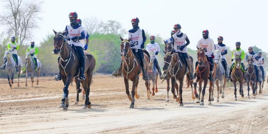 فتح التسجيل للمشاركة في مهرجان محمد بن راشد للقدرة - عرب فايف