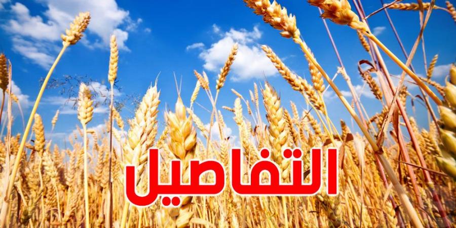 وزارة الفلاحة: التغيرات المناخية تؤثر على نمو الزراعات القمحية وتوصيات للفلاحين - عرب فايف