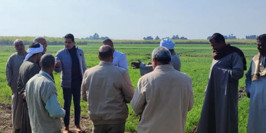 الزراعة تقدم الخدمات الإرشادية والنصائح الفنية بمحافظة الاقصر - عرب فايف