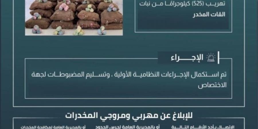 حرس الحدود بعسير يحبط تهريب (525) كيلوجرامًا من القات المخدر - عرب فايف