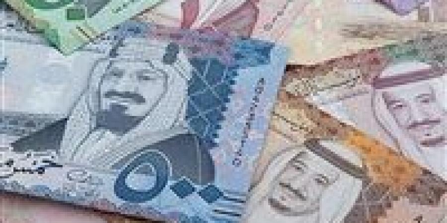 سعر الريال السعودي والدينار الكويتي اليوم الاثنين في مصر - عرب فايف