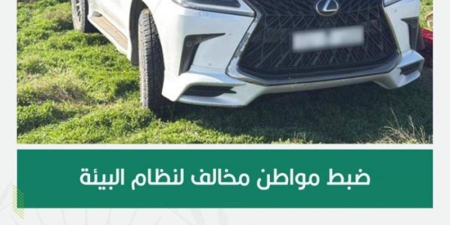 القوات الخاصة للأمن البيئي تضبط مواطنًا مخالفًا لنظام البيئة لدخوله بمركبته في الفياض والروضات في محمية الملك عبدالعزيز الملكية - عرب فايف